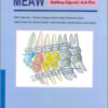 Manual for the Clinical Application of MEAW Technique Manual for the Clinical Application of MEAW Technique