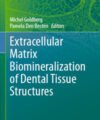 Extracellular Matrix Biomineralization of Dental Tissue Structure