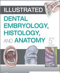 Illustrated Dental Embryology, Histology, and Anatomy, 5th Edition