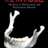 The Mandible: An Atlas of Osteological and Radiological Anatomy The Mandible: An Atlas of Osteological and Radiological Anatomy