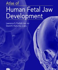 Atlas of Human Fetal Jaw Development