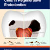 3D Organoids and Stem Cells in Regenerative Endodontics 3D Organoids and Stem Cells in Regenerative Endodontics